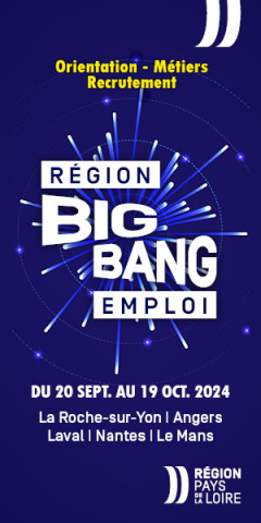 BIg bang de l'emploi